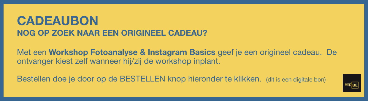 Cadeaubon Workshop - Fotoanalyse & Instagram Basics